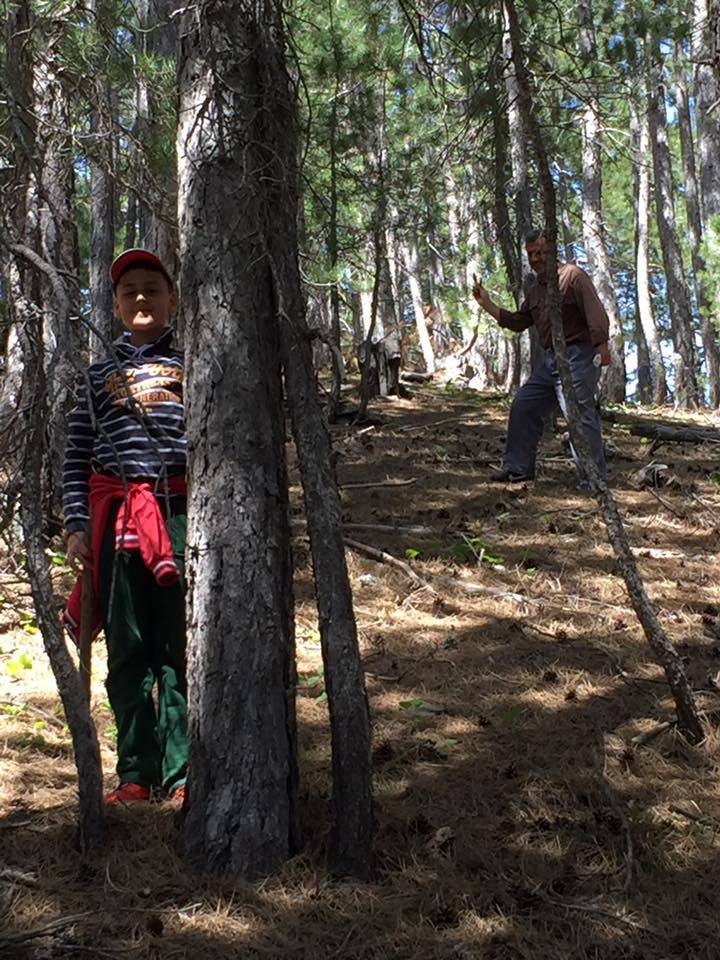 Konya’da kendiliğinden yetişiyor, toplayana kazandırıyor 9